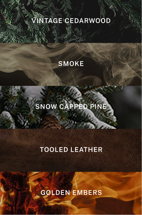 Aspen Hand Cream Refill - Scent Notes