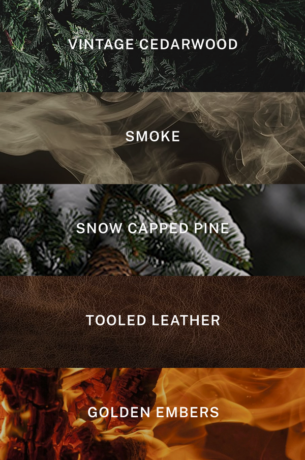 Aspen Reed Diffuser Refill - Scent Notes