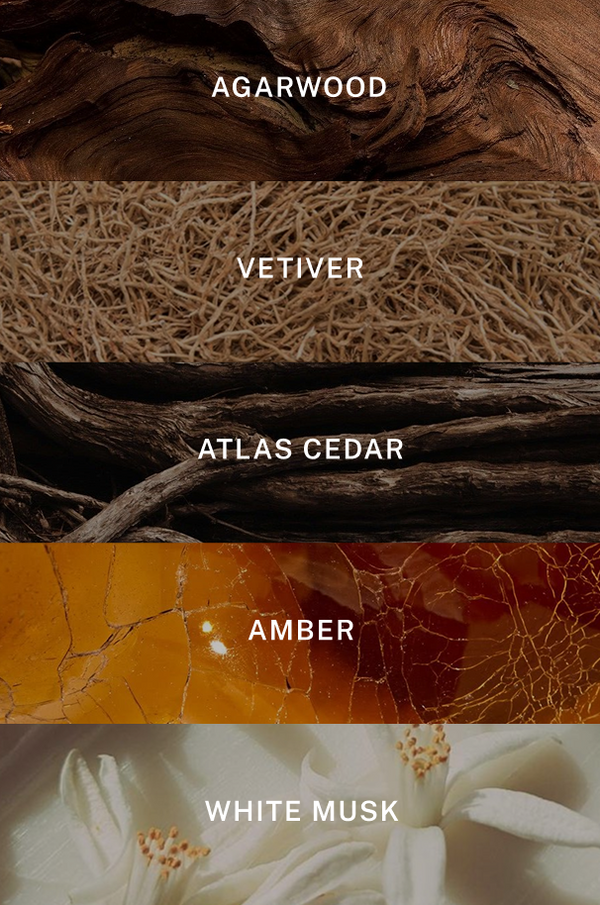 Fifth Anniversary Signature Candle - Scent Notes