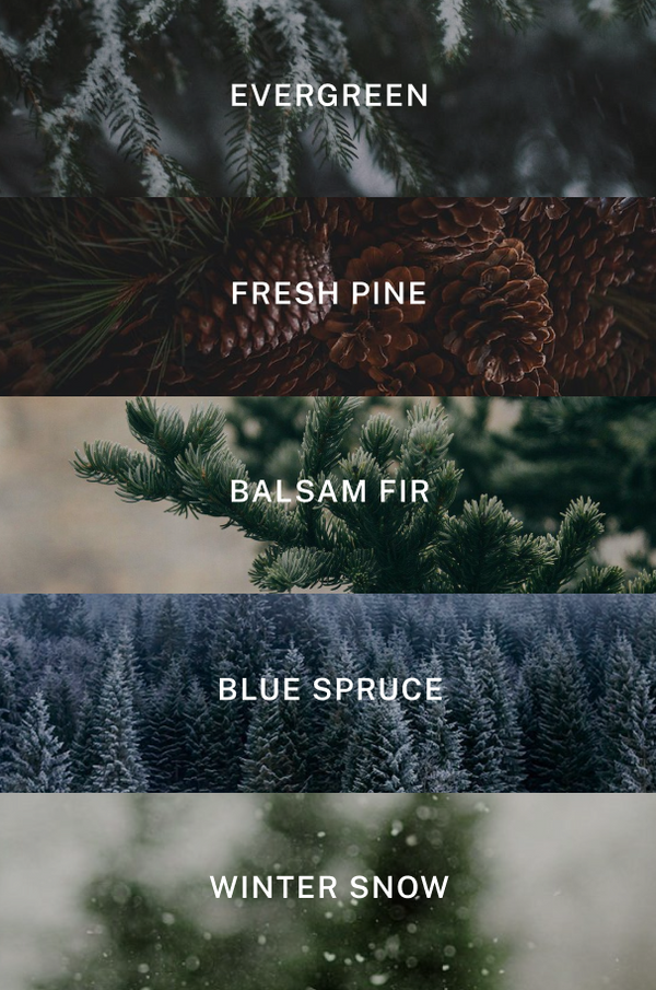 Holiday Five Wick Candle - Scent Notes