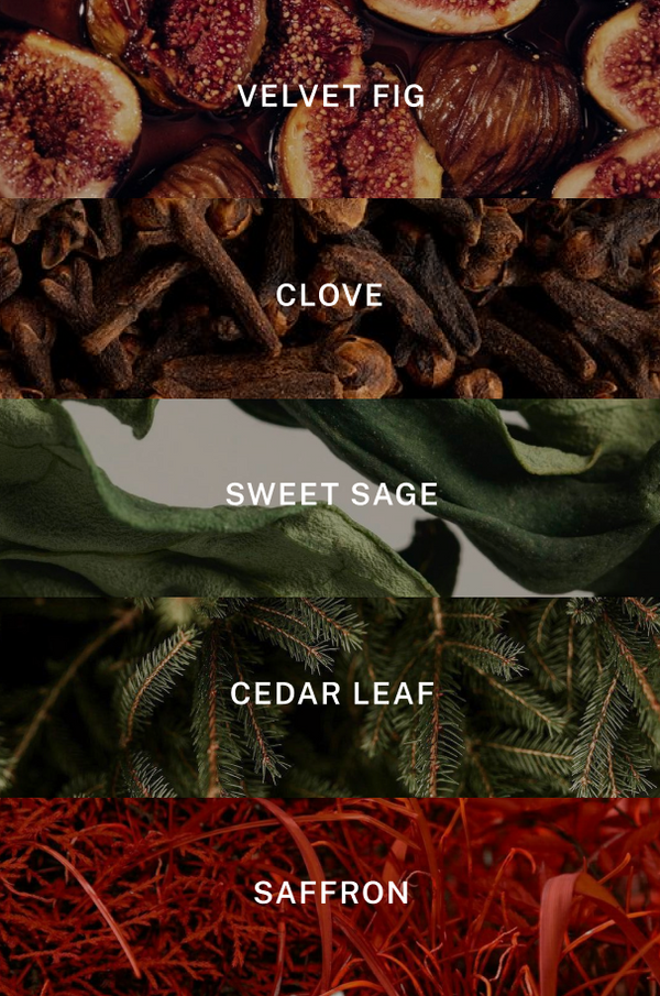 Holiday in New York Candle - Scent Notes