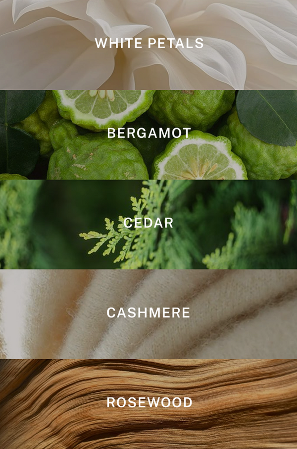 Miami Hand Wash - Scent Notes