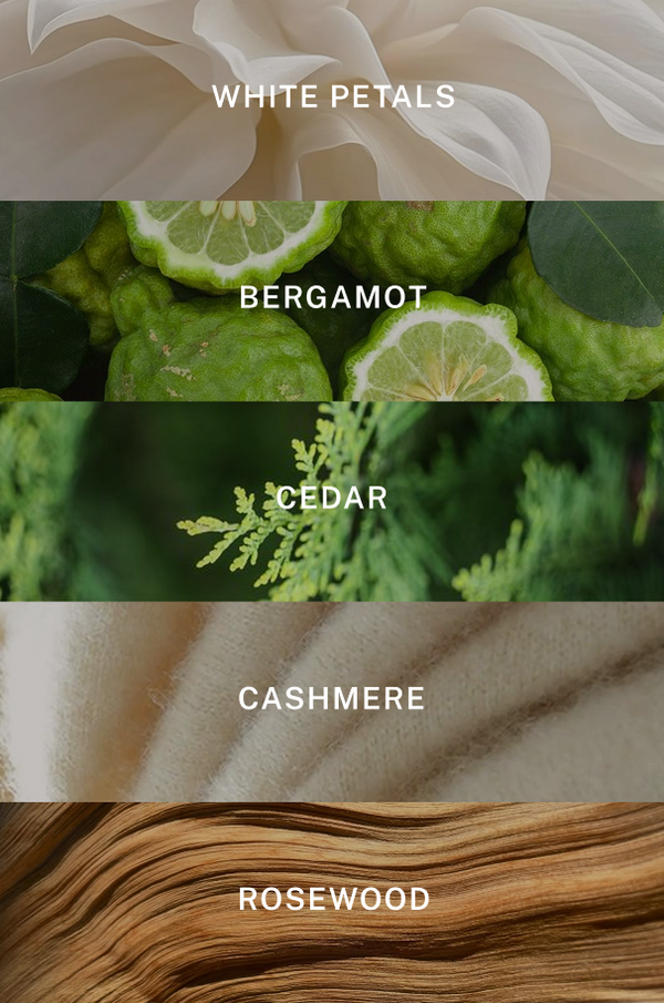 Miami Eau de Parfum - Scent Notes