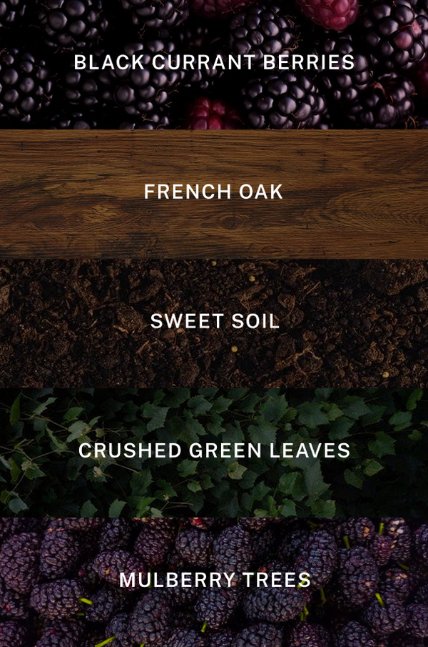 Aspen Reed Diffuser - Scent Notes