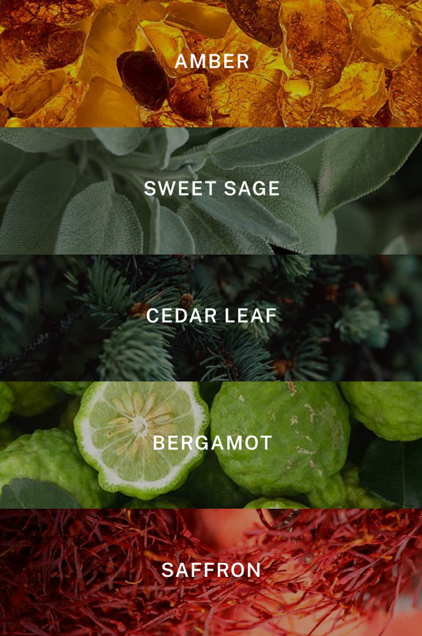 New York Collection - Scent Notes
