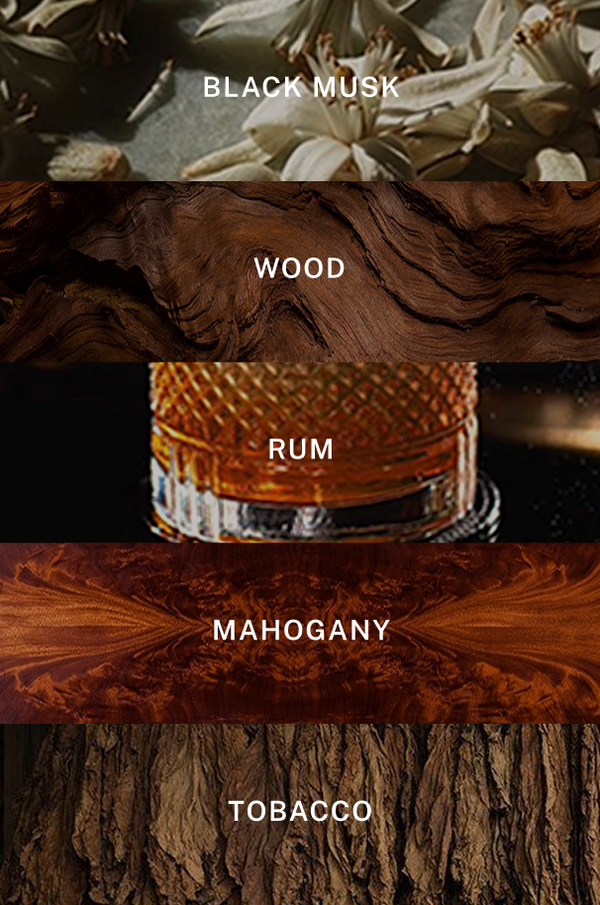 Paris Nuit Reed Diffuser - Scent Notes