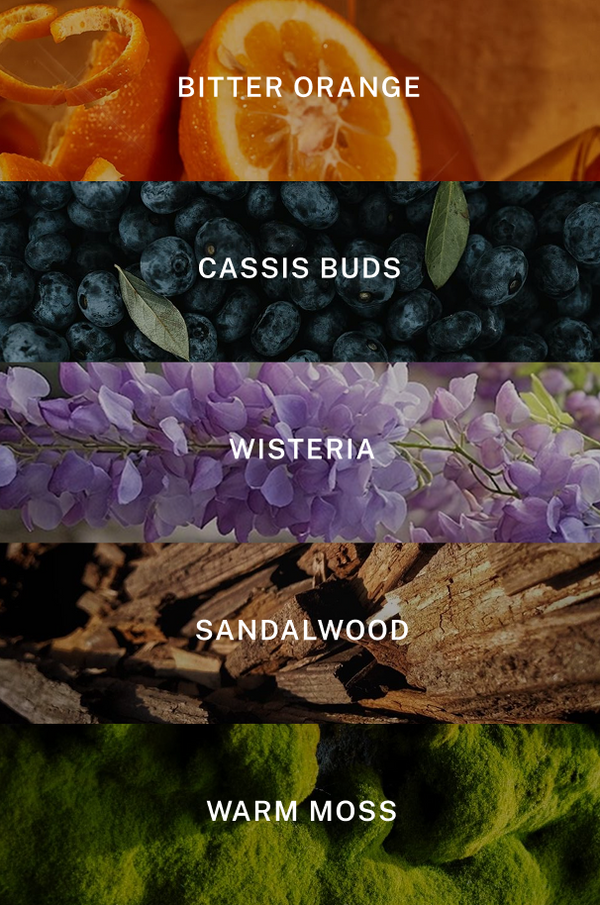 Positano Reed Diffuser - Scent Notes