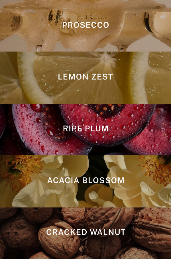 Prosecco Candle - Scent Notes
