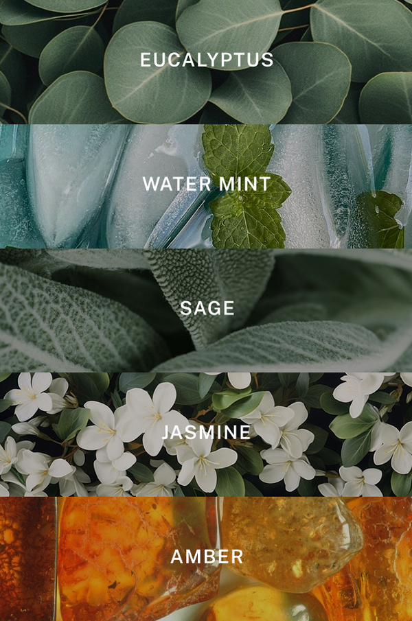 Spa Reed Diffuser - Scent Notes