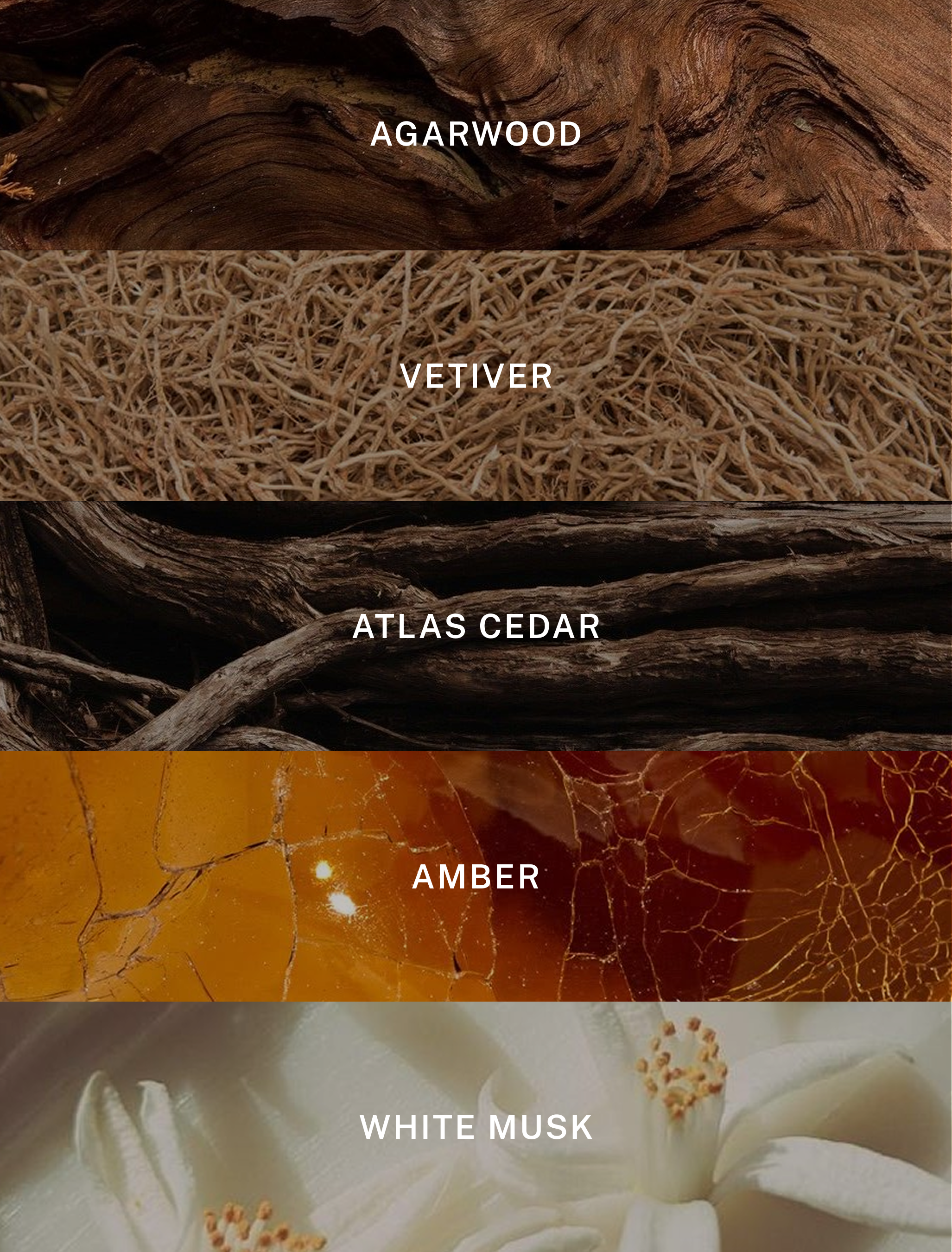 『Global Artisans: The Luxury Collection』 Global Artisans Ltd